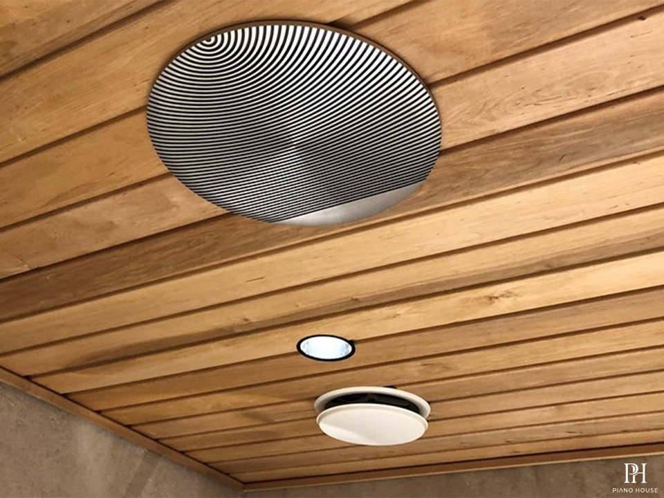 Loa Bang & Olufsen Celestial