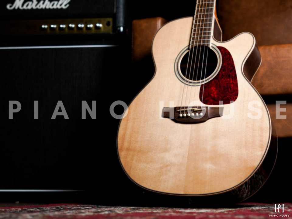 Takamine GN93CE