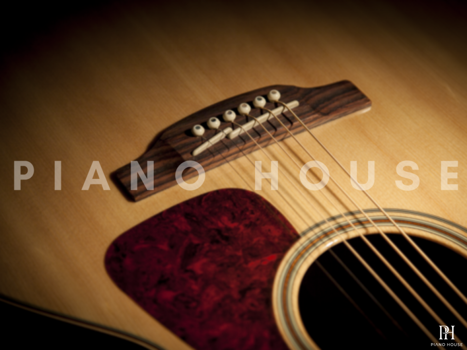 Takamine GN93CE