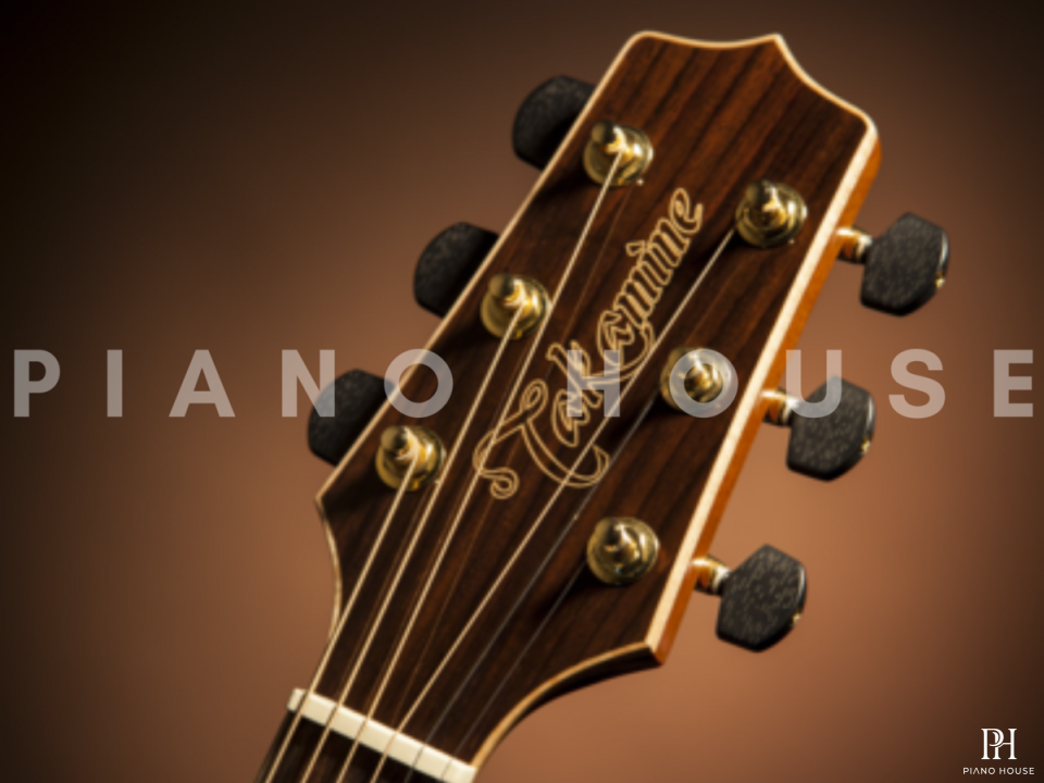 Takamine GN93CE