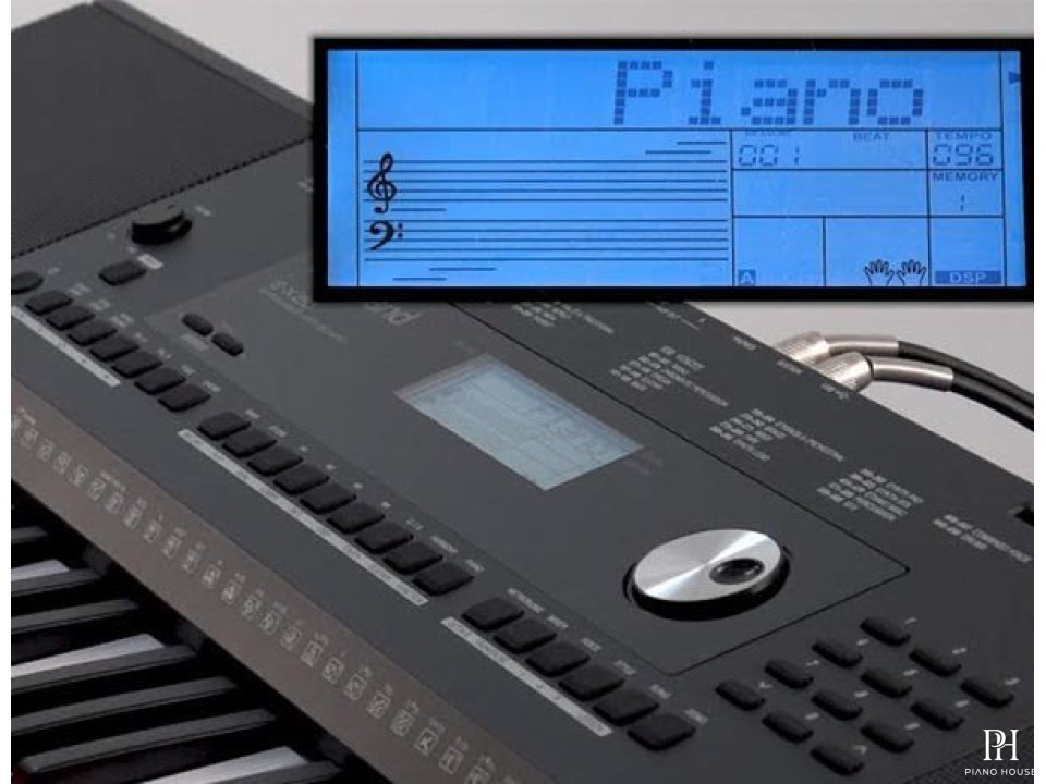 Roland EX20