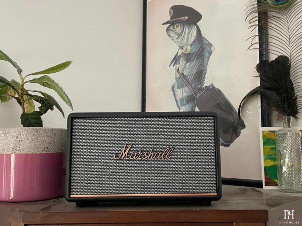 Marshall Acton 3