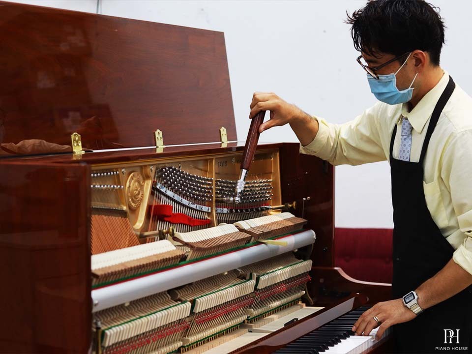 APOLLO TAV-121