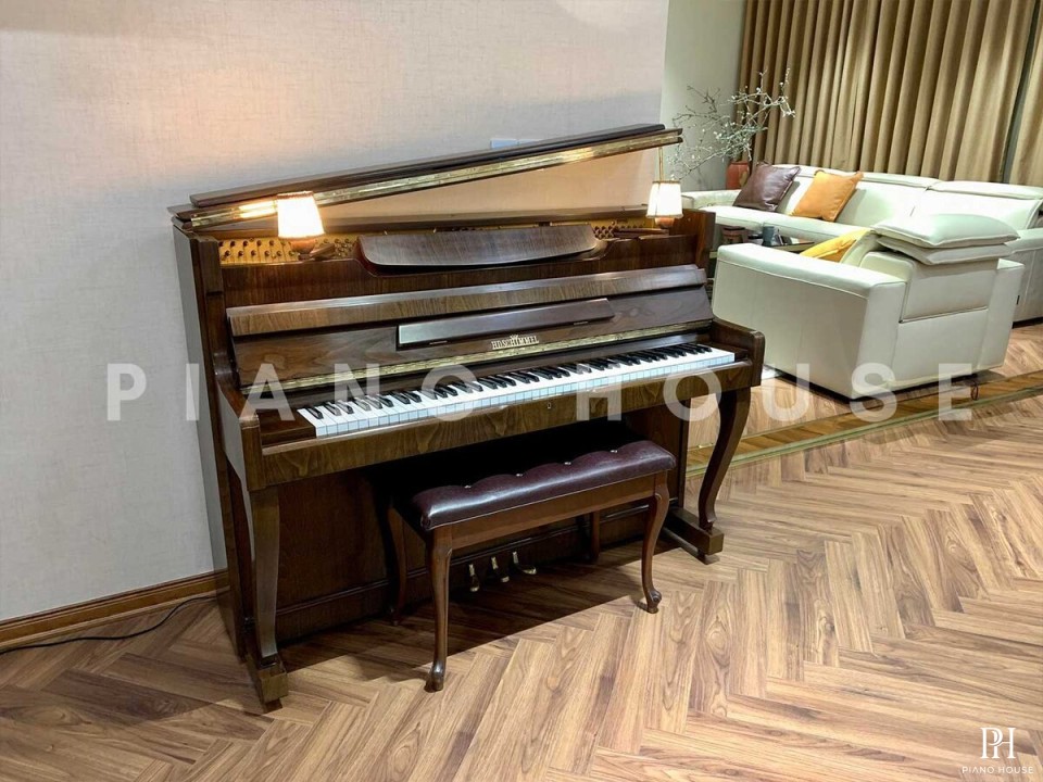 HD SCHIMMEL