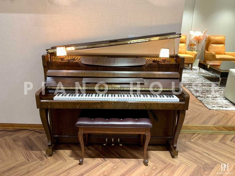 HD SCHIMMEL