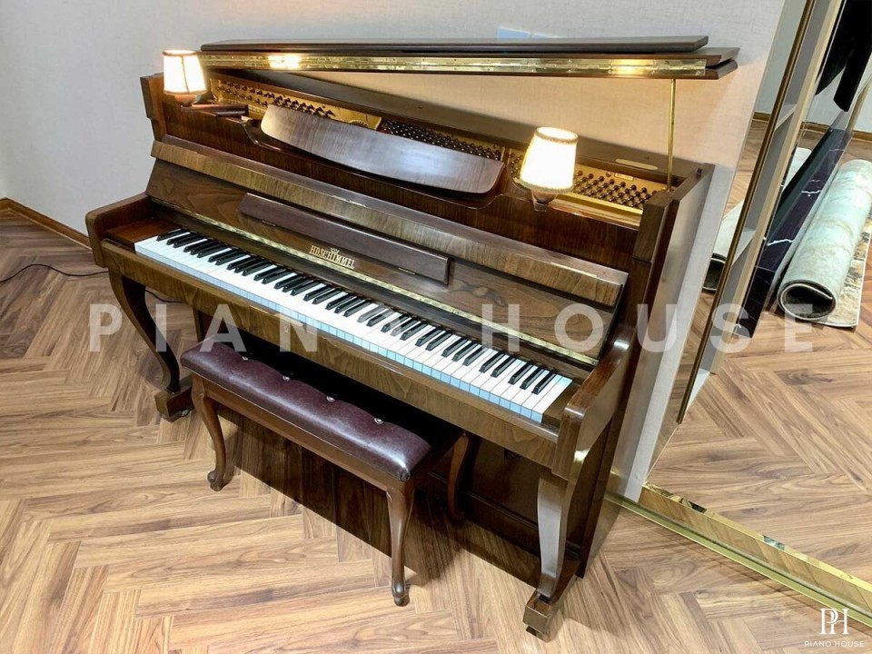 HD SCHIMMEL