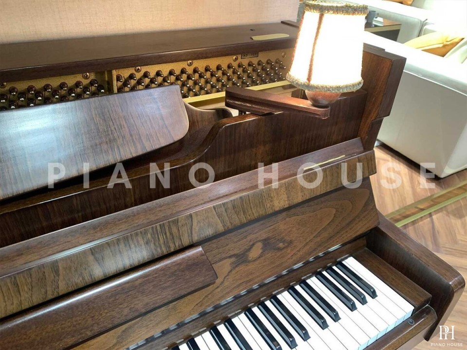 HD SCHIMMEL
