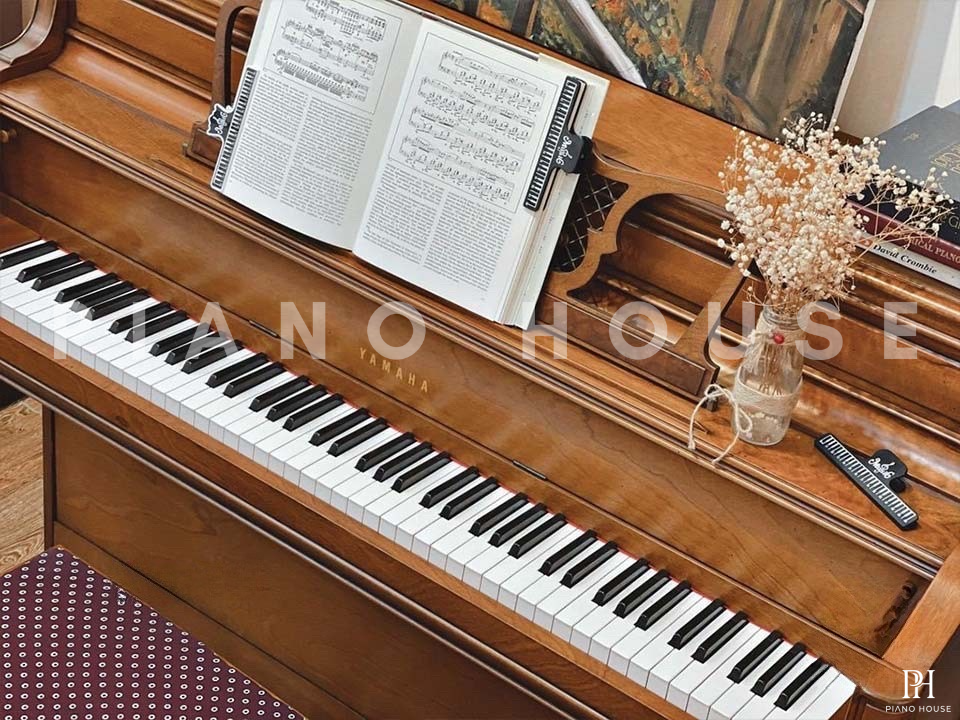 YAMAHA M2H