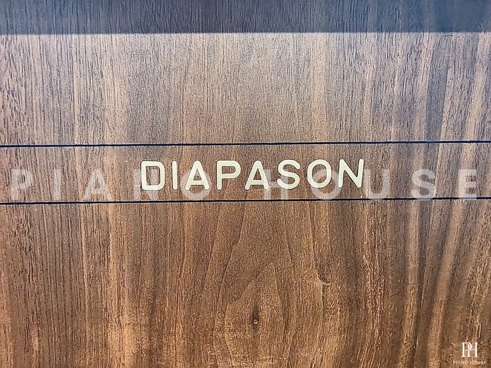DIAPASON No.132