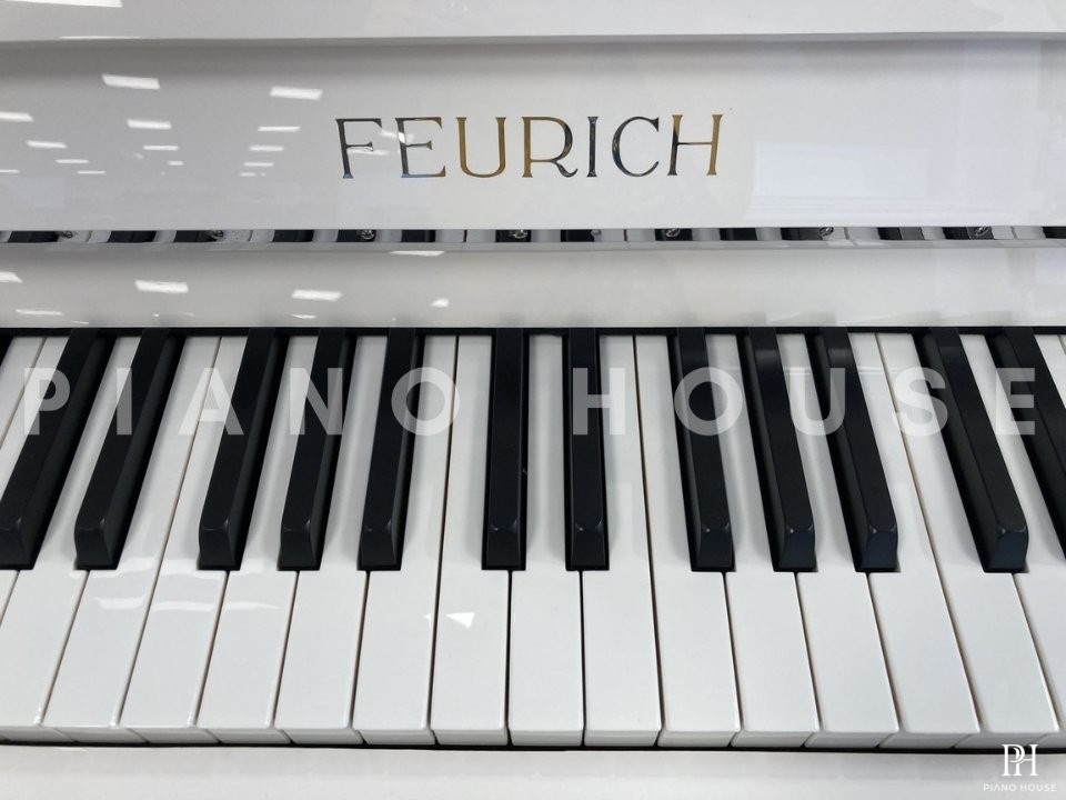 FEURICH 115 Premiere (White Polished)