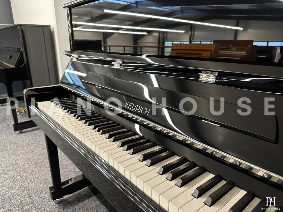 FEURICH 122 Universal (Black Polished - Chrome)