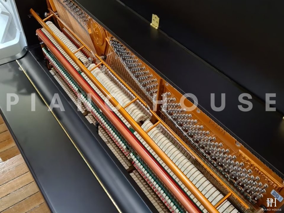 FEURICH 122 Universal (Black Satin - Brass)