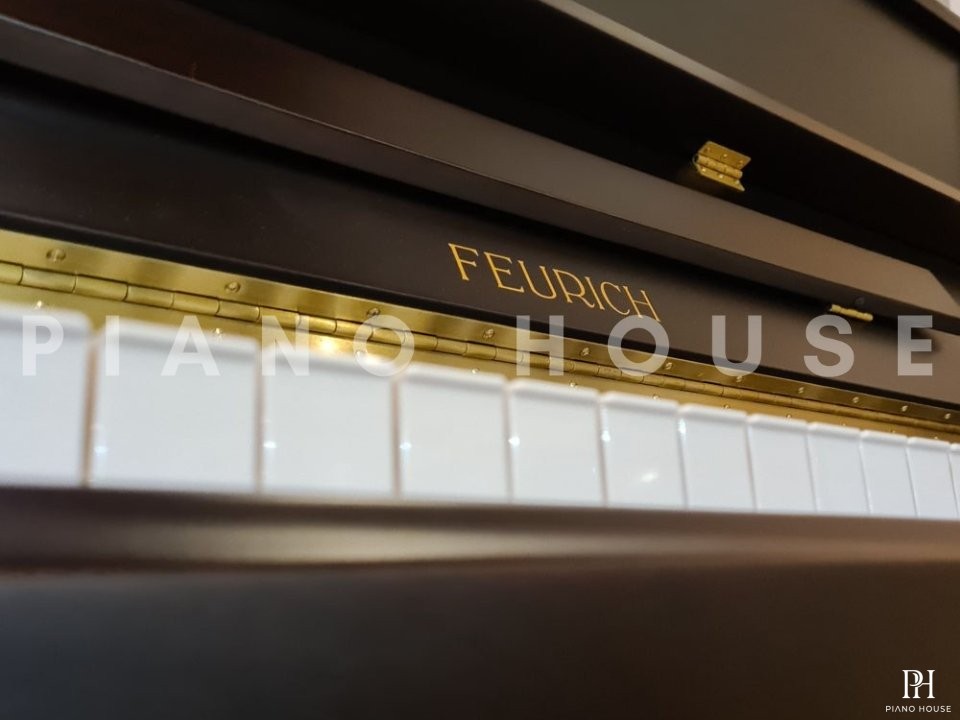 FEURICH 122 Universal (Black Satin - Brass)