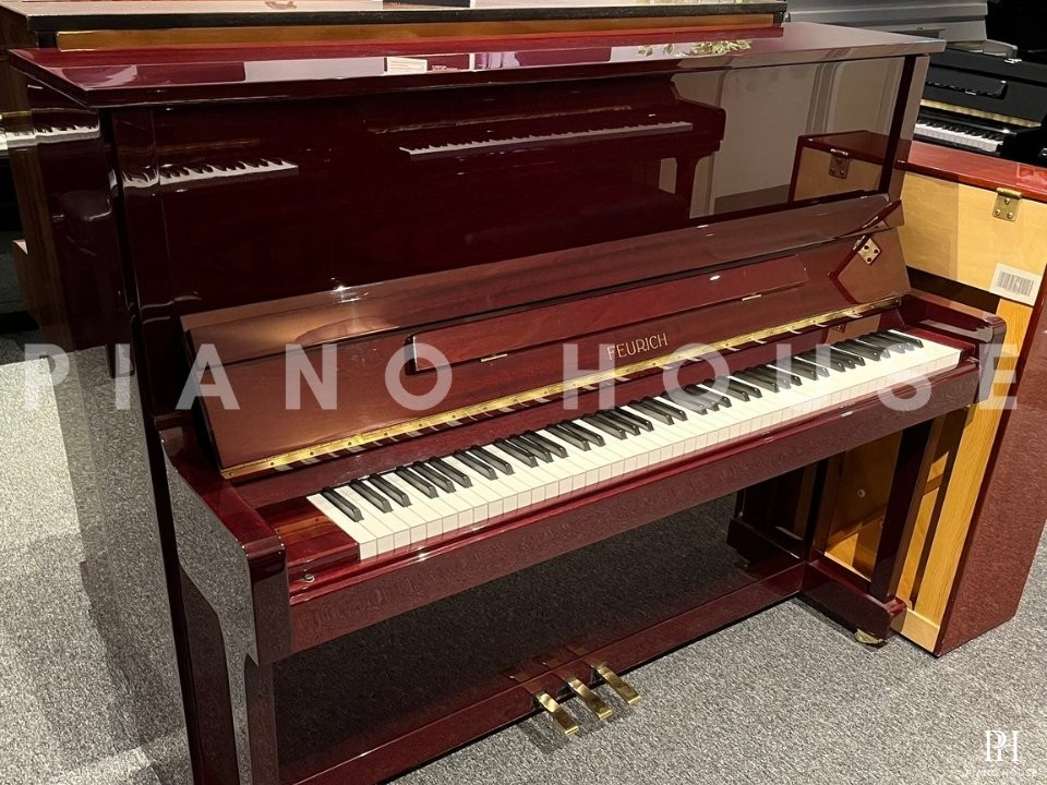 FEURICH 122 Universal (Bordeaux Polished)