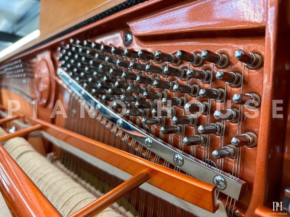 FEURICH 122 Universal (Walnut Polished)