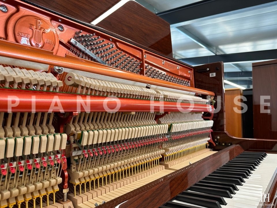 FEURICH 122 Universal (Walnut Polished)