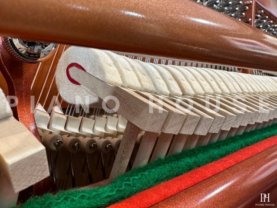 FEURICH 122 Universal (Walnut Satin)