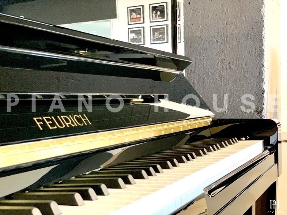 FEURICH 133 Concert (Black Polished)