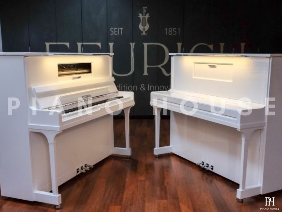 FEURICH 123 Vienna White Polish (Made in Austria)