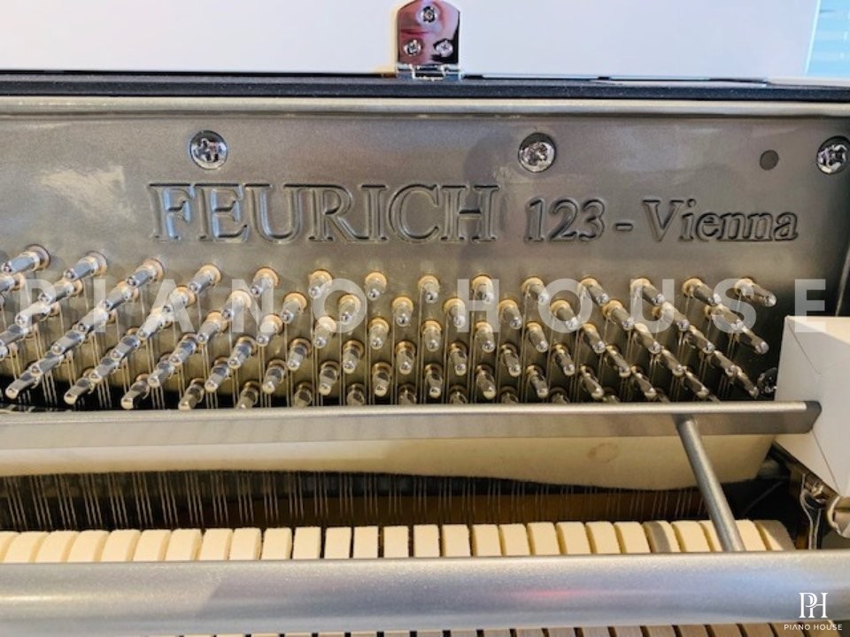 FEURICH 123 Vienna White Polish (Made in Austria)