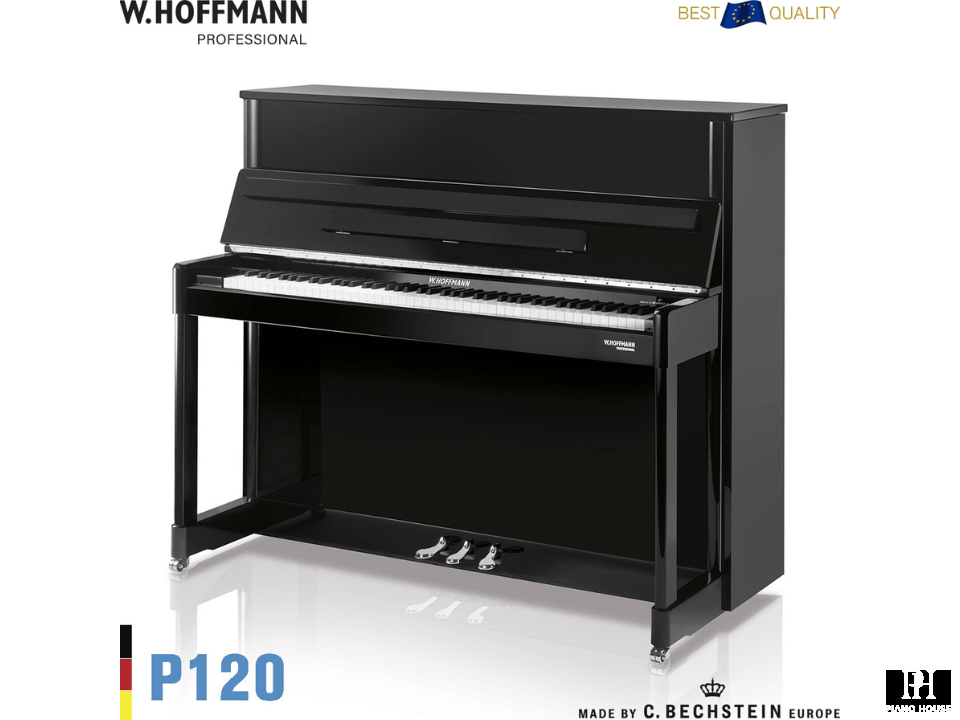 P120 (W.HOFFMANN PROFESSIONAL)
