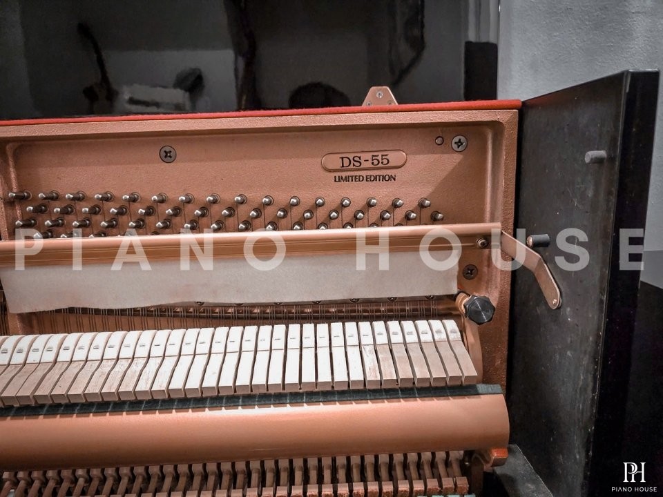 KAWAI DS-55 (Limited Edition)