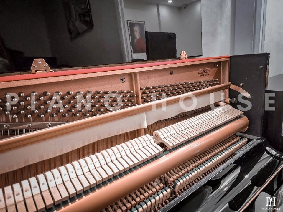 KAWAI DS-55 (Limited Edition)
