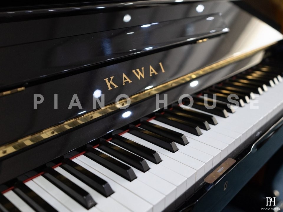 KAWAI DS-80