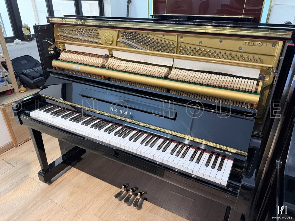 KAWAI DS-65L