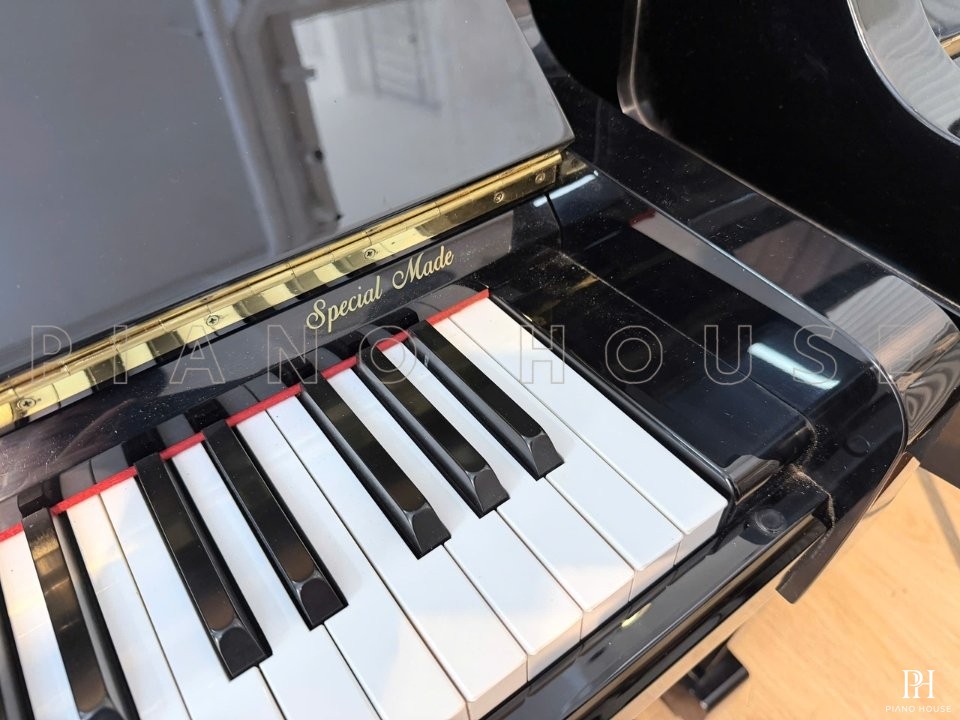 KAWAI DS-65L