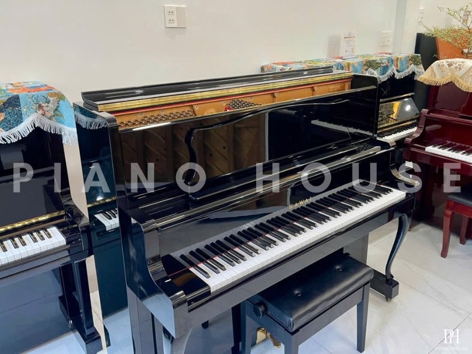 KAWAI DS-80
