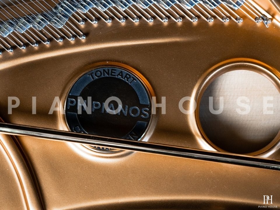 PH Bow Grand Piano (Curated Edition)