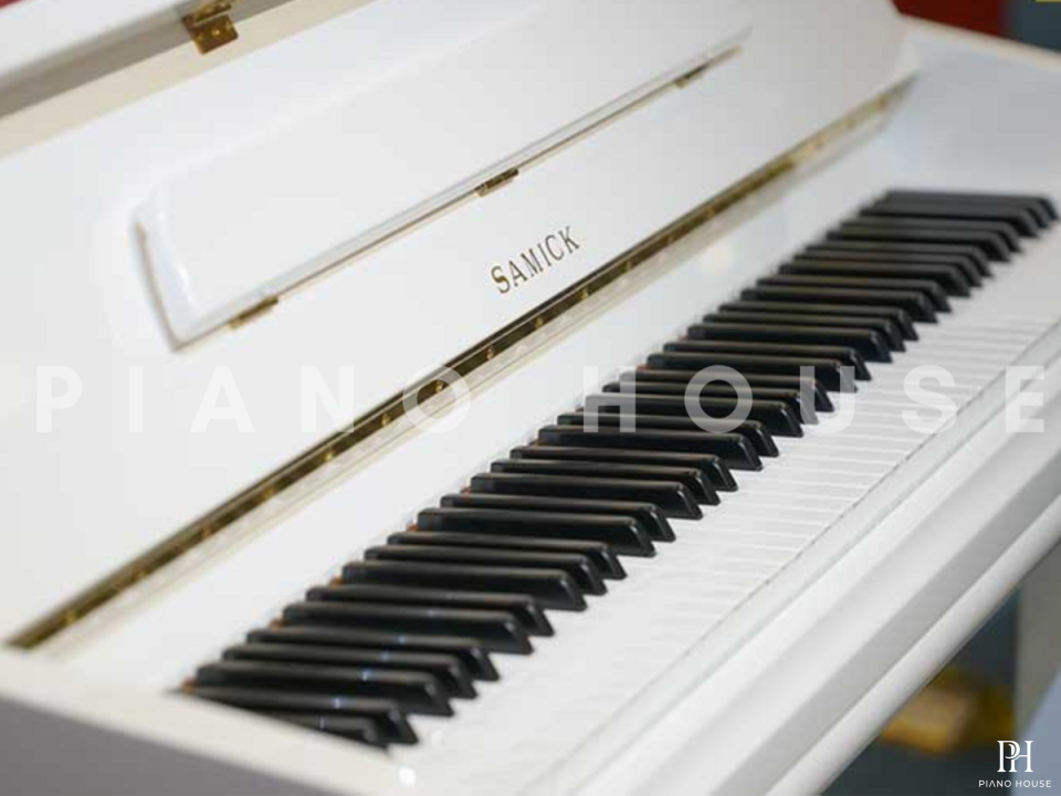 Samick J310B