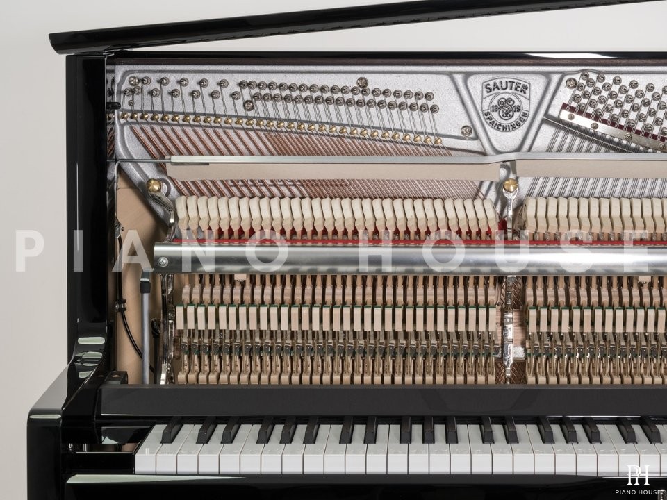 Sauter Artisan 124