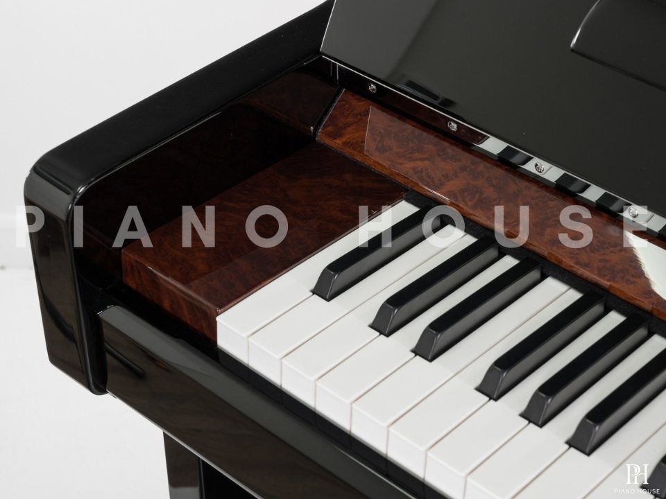 Sauter Artisan 124