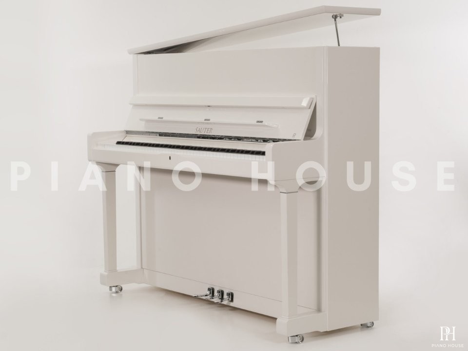 Sauter Artisan 124