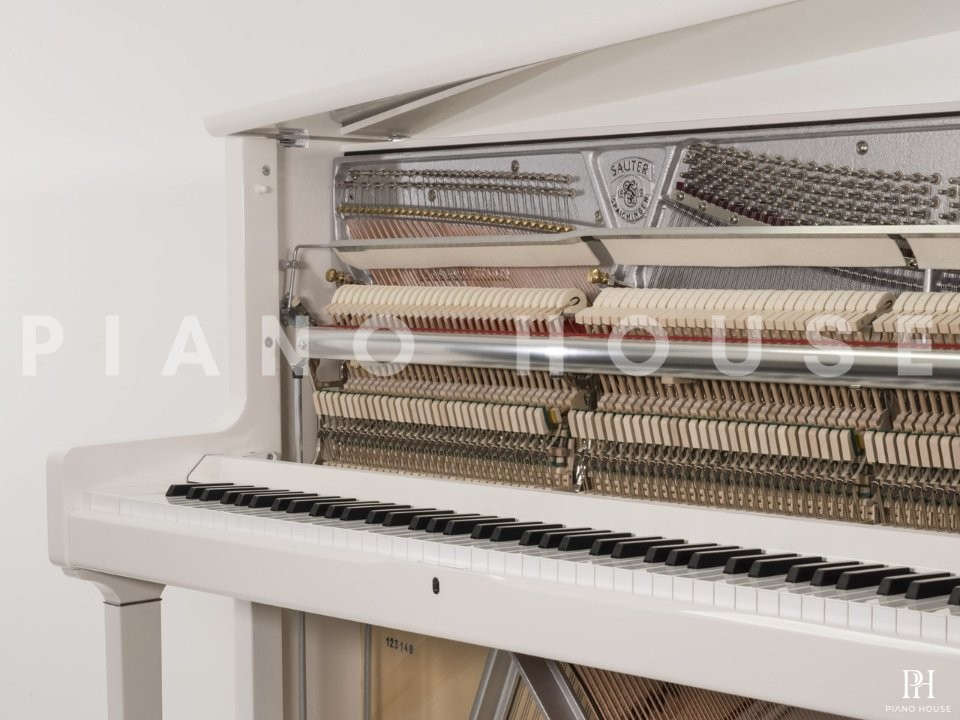 Sauter Artisan 124