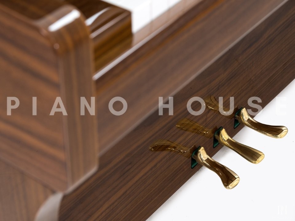 Sauter Carus 122 (Satin Walnut)