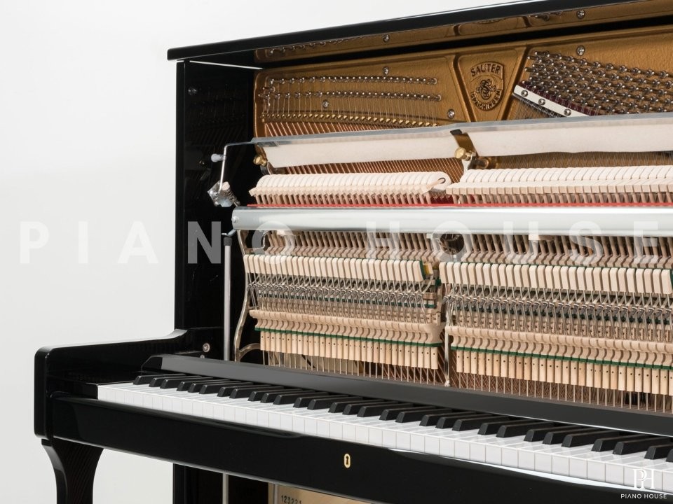 Sauter Carus 130
