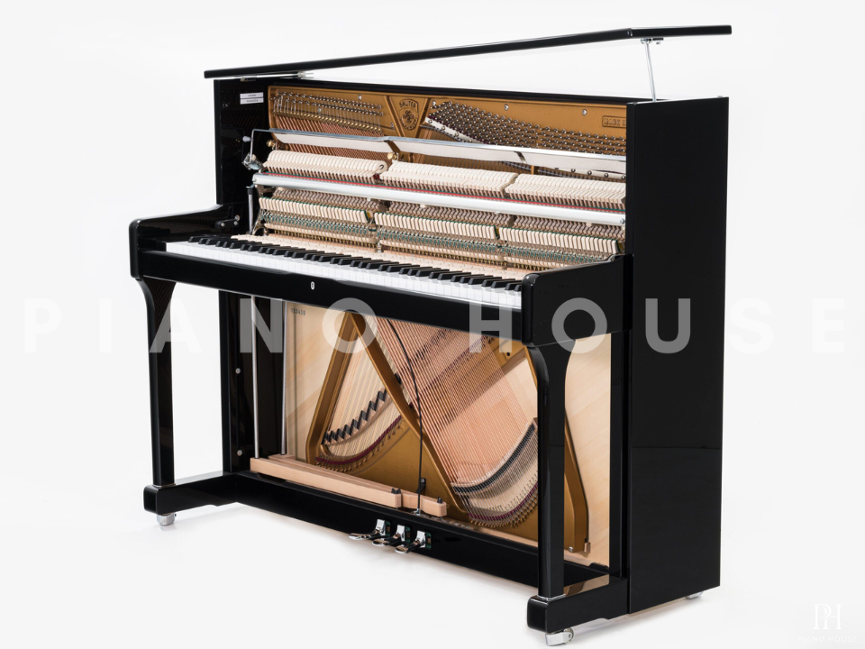 Sauter Ragazza 122 (Polished Ebony)