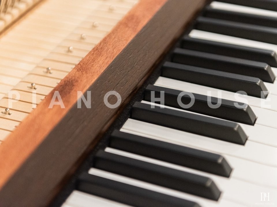 Sauter Rondo