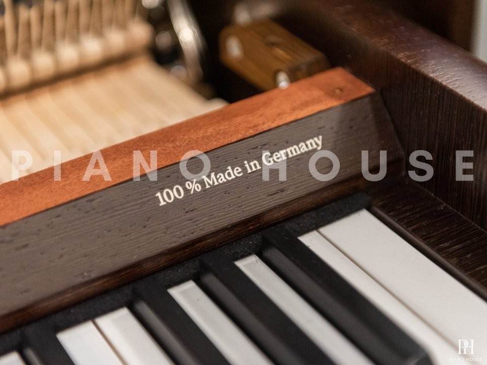 Sauter Rondo