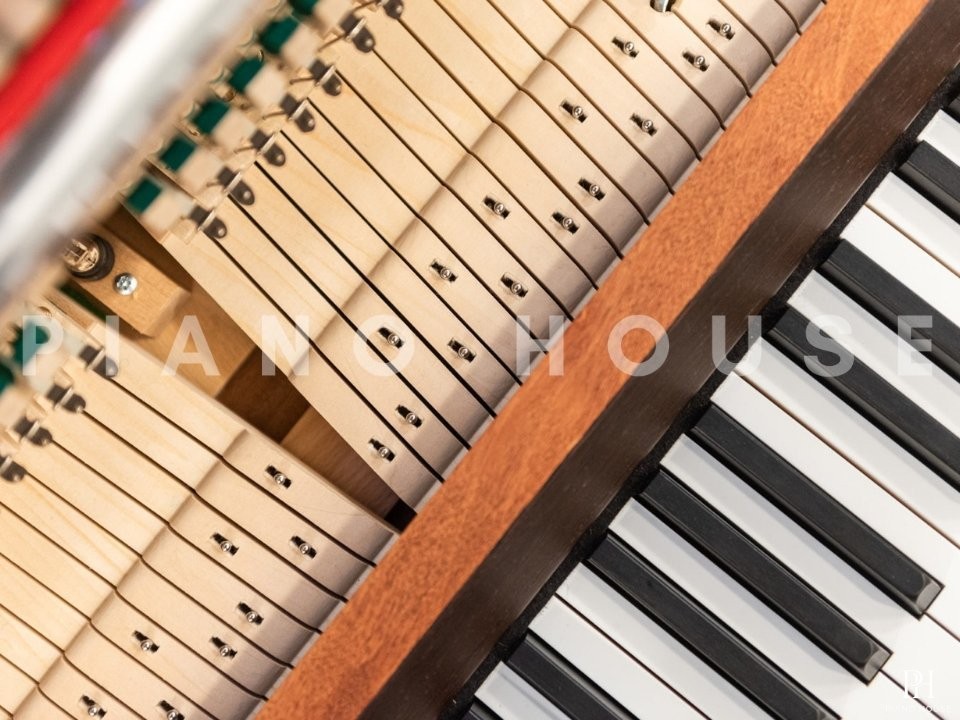 Sauter Rondo