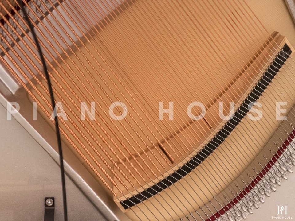 Sauter Rondo