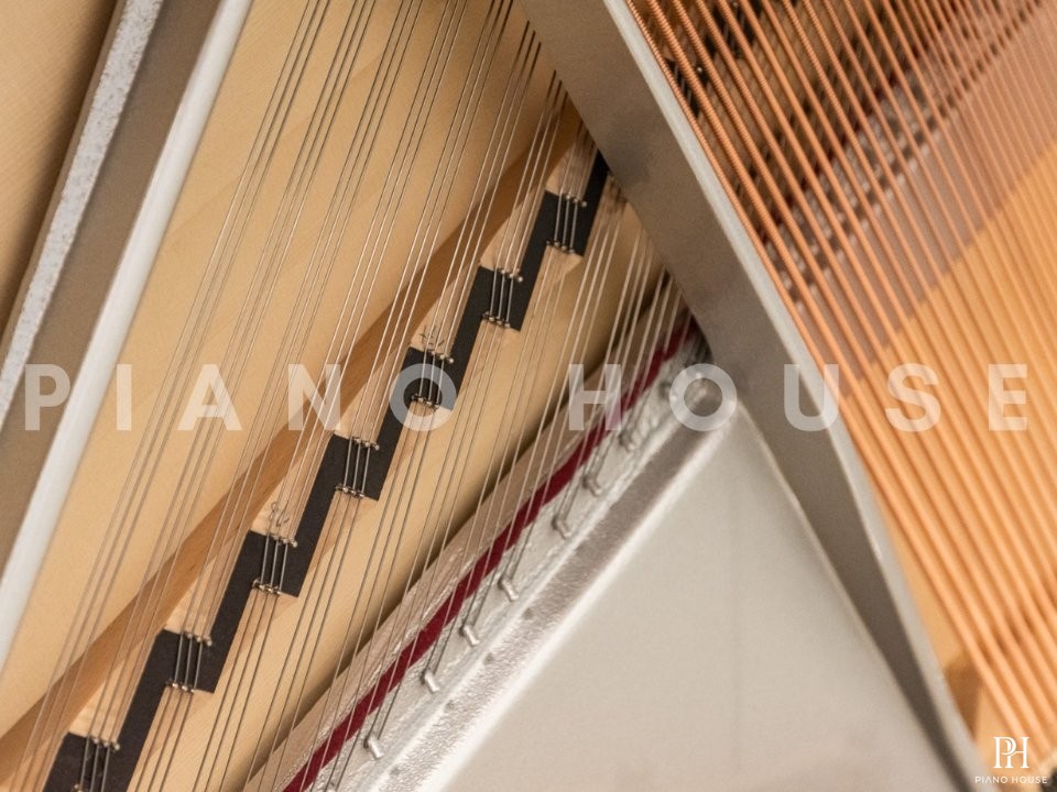 Sauter Rondo