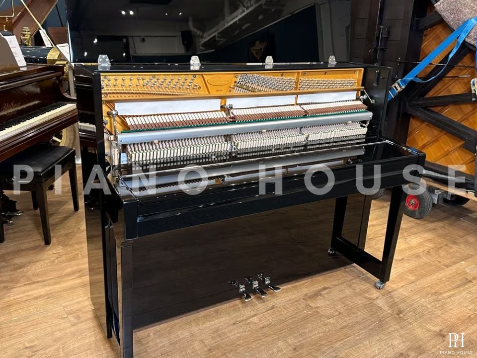 Fridolin Schimmel F116 Tradition (Ebony High Gloss)