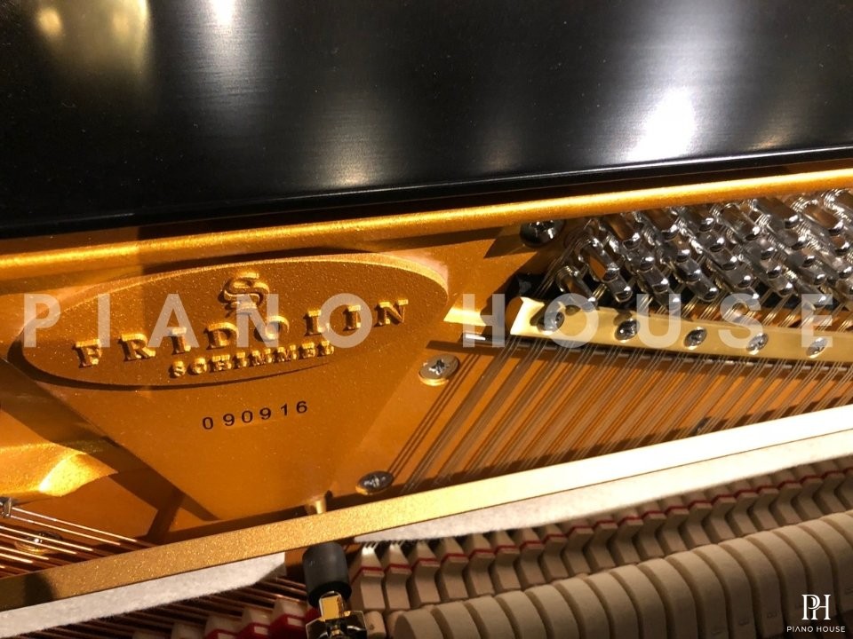 Fridolin Schimmel F121 Tradition (Ebony High Gloss)