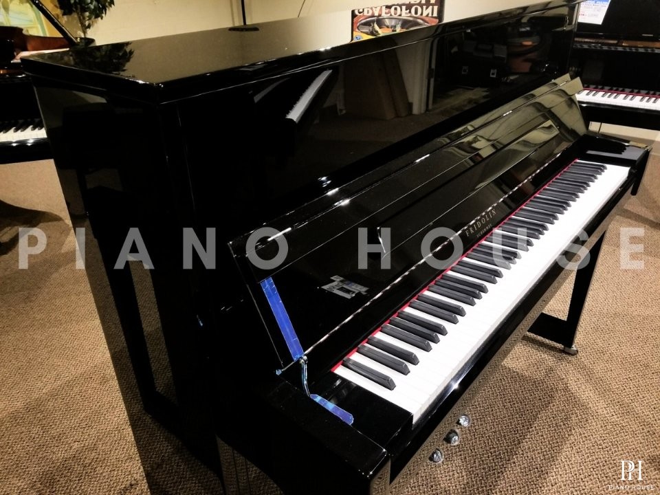Fridolin Schimmel F121 Tradition (Ebony High Gloss)
