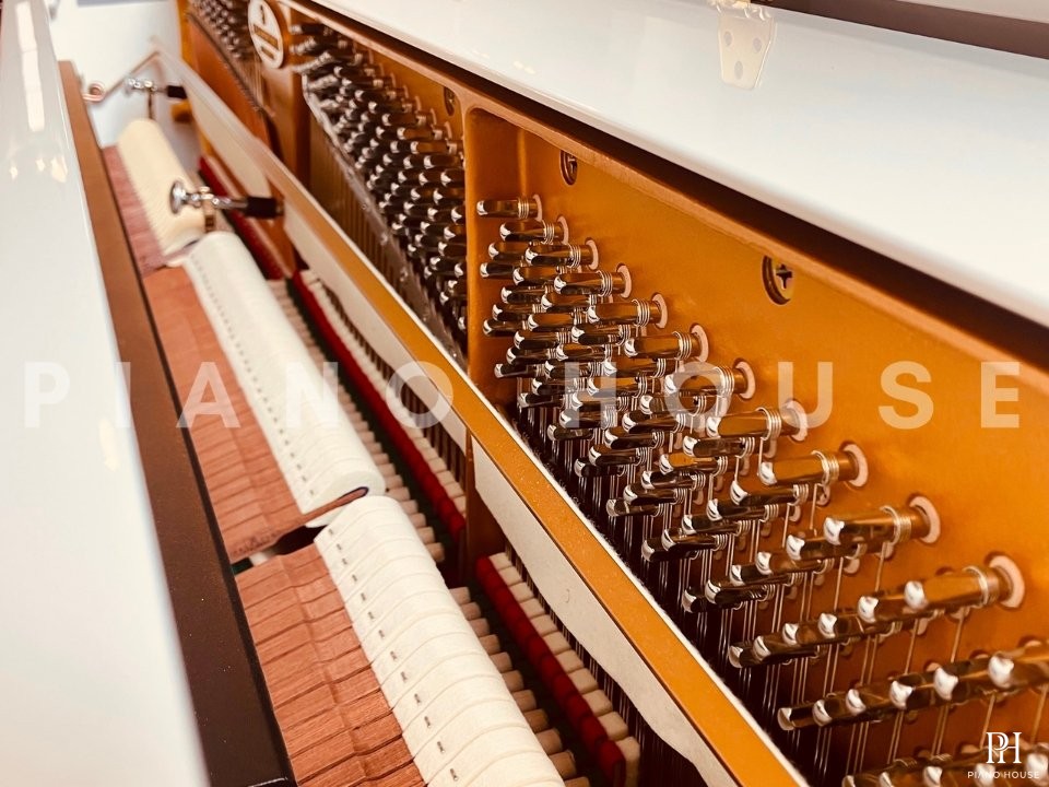 Fridolin Schimmel F121 Tradition (White High Gloss)