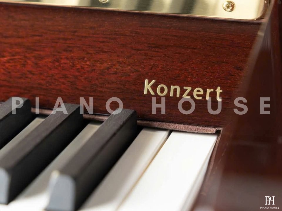 Konzert K132 Tradition (Mahogany Polish)